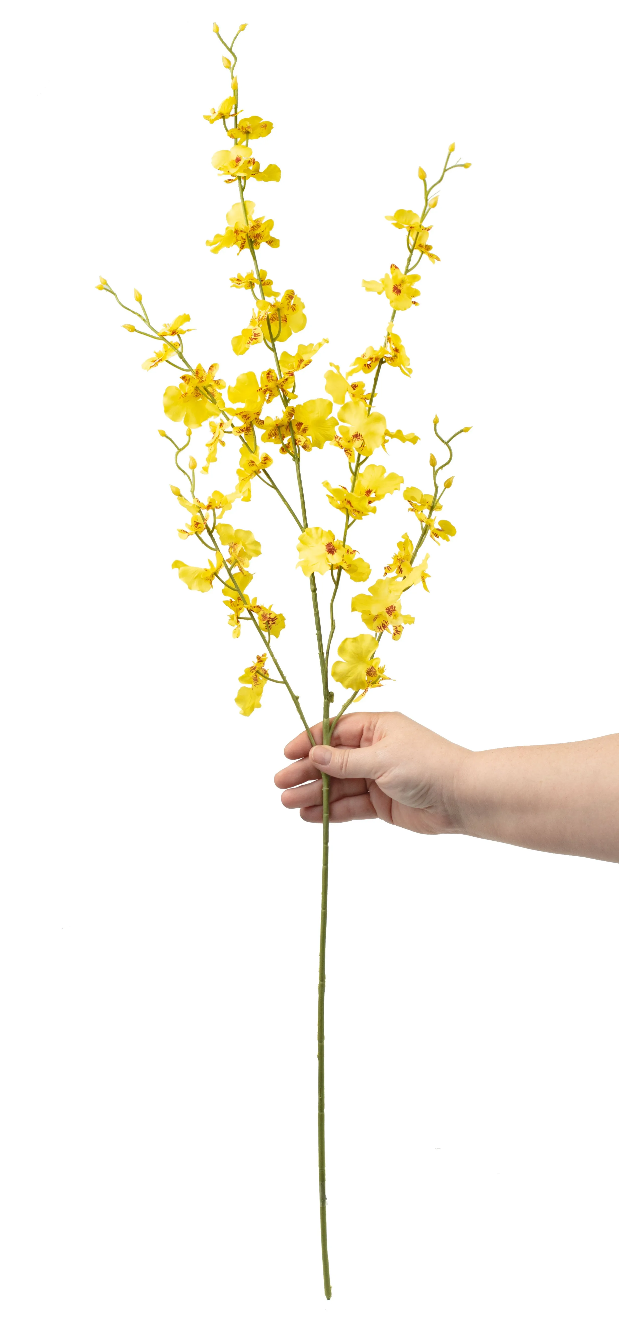 37" Dancing Orchid Stem Spray