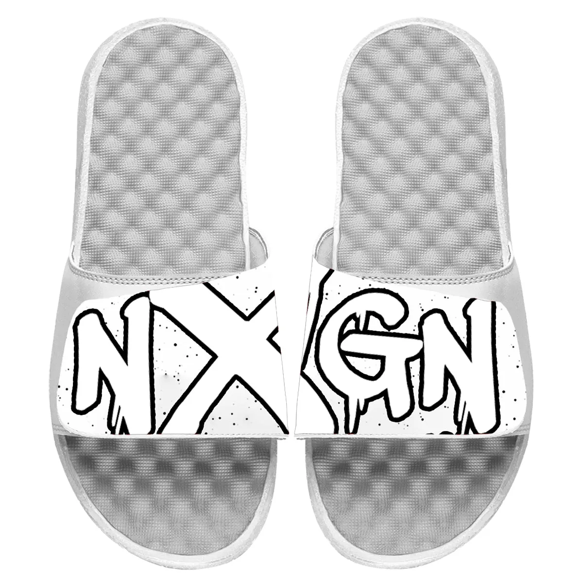 NextGen Paint Slides