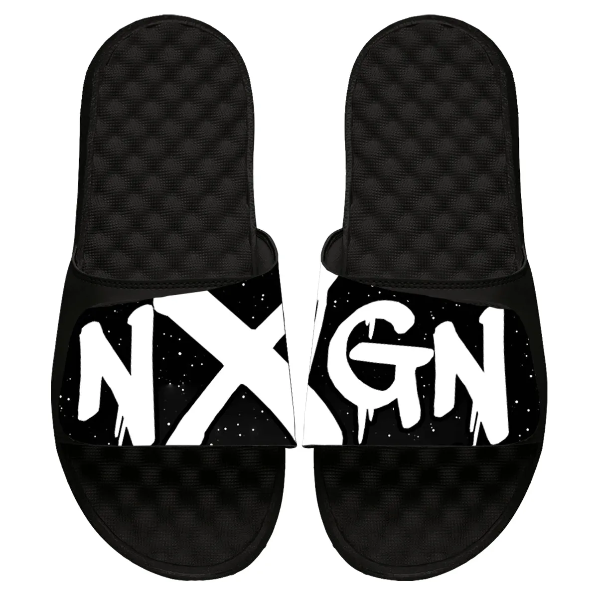 NextGen Paint Slides